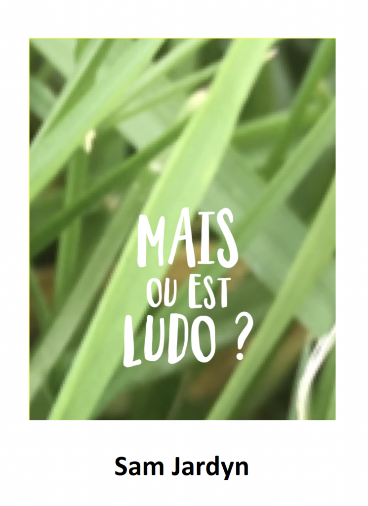 Couverture : Mais où est Ludo ?