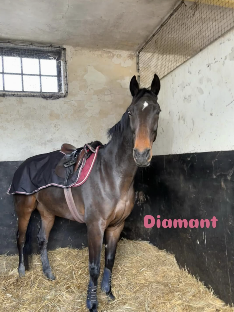 Diamant